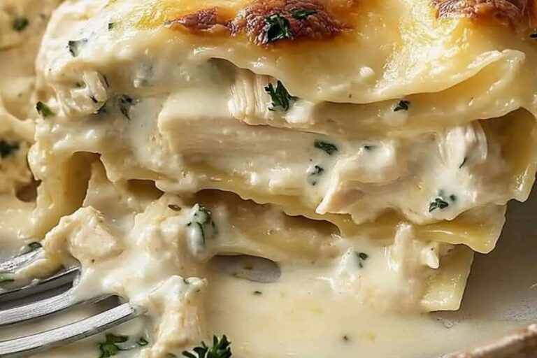 Cheesy Chicken Alfredo Lasagna Recipe