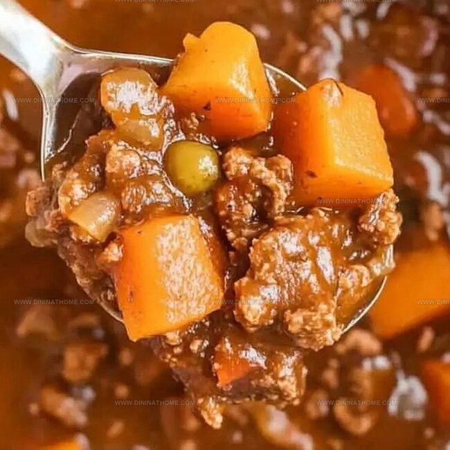 Irish Stew From the Instant Pot for Cozy Nights