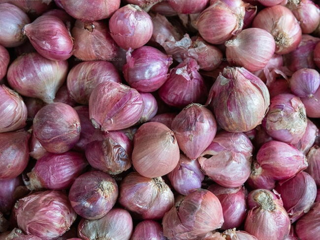 Gray Shallot (French Shallot)