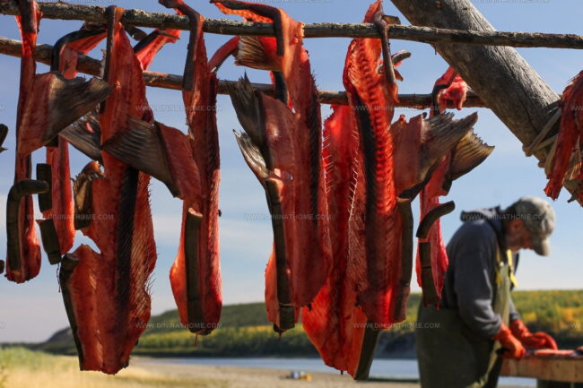 Pacific Smoked Salmon