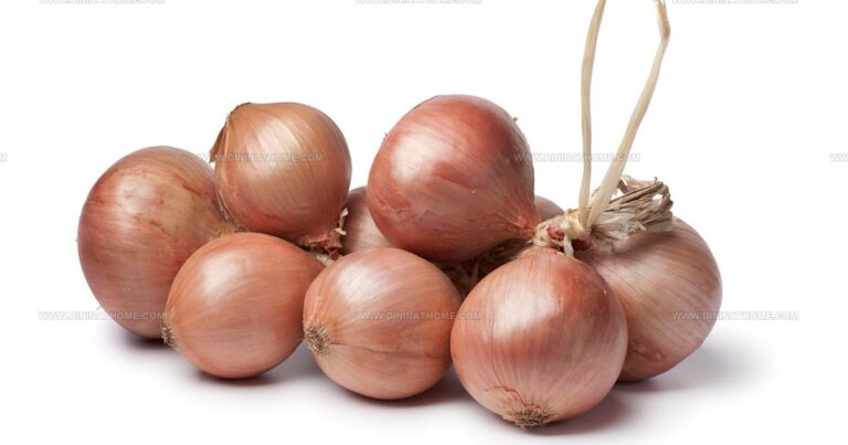 26 Unusual Western European Bulb Vegetables to Discover
