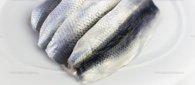 Alewife River Herring