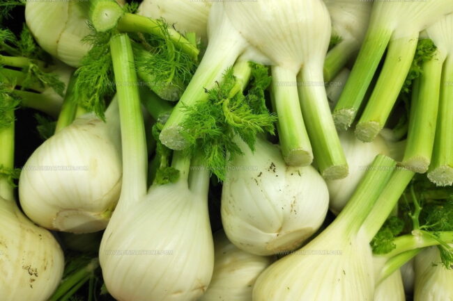 Can Bulb Vegetables Be Eaten Raw or Are They Always Cooked?