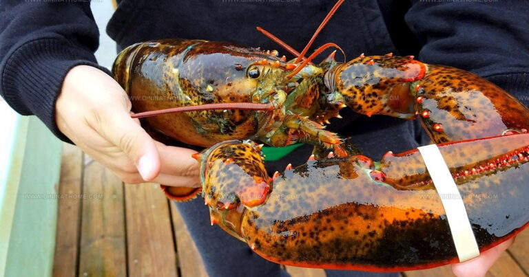 25 Iconic North American Seafoods You Need to Know