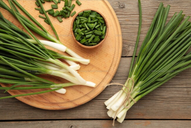 Common Green Onion (Scallion)