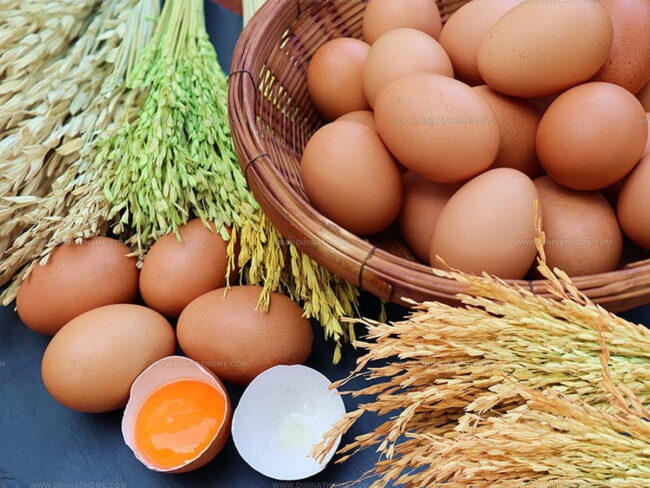 Tips for Achieving Moisture and Structure Without Yolks