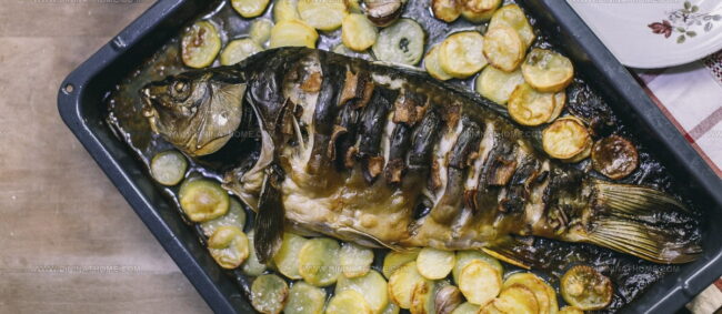 Drunken Carp (Pijani Saran)