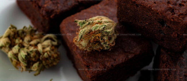Space Cake