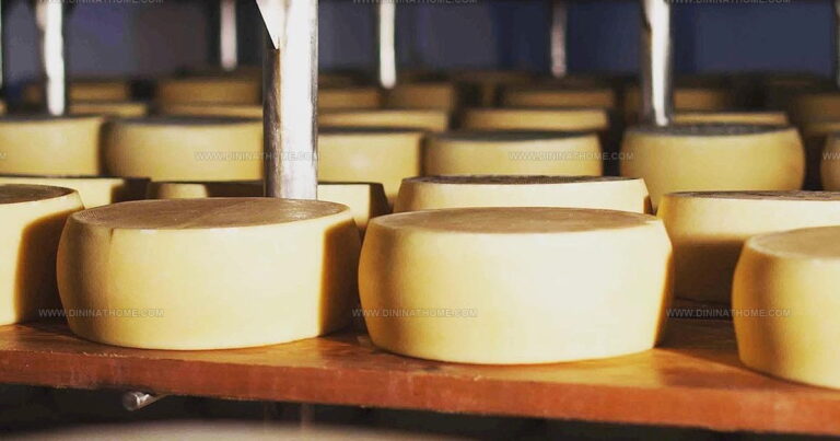40 Authentic Southeastern European Sheep Cheeses to Taste