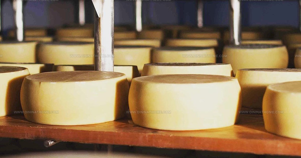 40 Authentic Southeastern European Sheep Cheeses to Taste